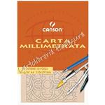 Album Carta Millimetrata 21x29,7 Canson